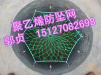 聚乙烯網6角實效圖01_副本