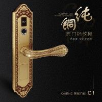 广东纯铜房门指纹锁  室内门指纹锁 木门指纹锁厂家