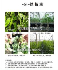 S-誘抗素花期簡介