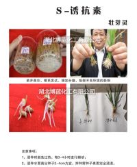 S-誘抗素壯芽