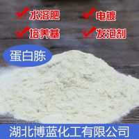 蛋白胨外觀