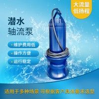 大口径350QZB潜水轴流泵生产厂家