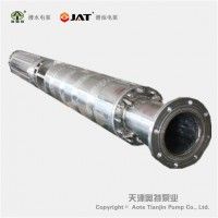QH不锈钢潜海水电泵_耐磨蚀_2022新款报价
