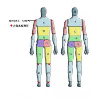 男性暖体假人
